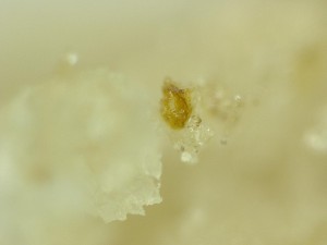 Chicken-McNugget-08