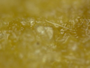 Chicken-McNugget-09