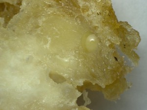 Chicken-McNugget-12
