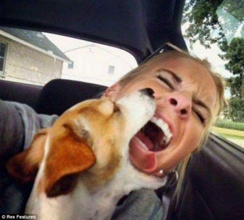 Pet Selfie - Selfite - autoscatto con animale domestico