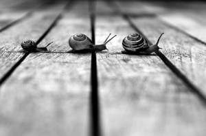 impararare ad avere pazienza