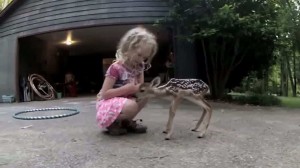 bimba e cerbiatto