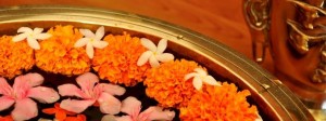 ayurveda