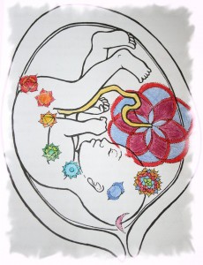 bimbo chakra
