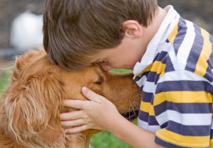 il benessere del tuo cane