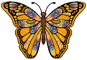 Butterfly-art-butterflies-clipart-best