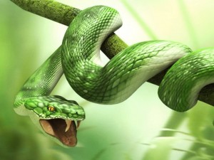 serpente_verde